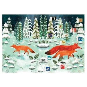 Cub's First Christmas Playful Foxes Advent Calendar Card with env 170 x 120mm - Picture 1 of 1