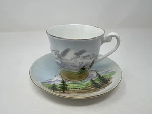 LIMOGES Bernardaud Tamaño Estándar Taza de Té y Platillo Montaña Bosque Escena Pino - Imagen 1 de 5