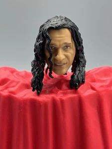 WWE Mattel Elite Legends Bret Hart Head CUSTOM FODDER FOR 6" FIGURES - Picture 1 of 2