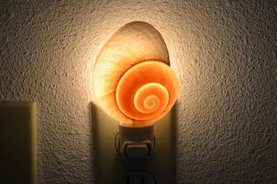 BROWN LANDSNAIL SEA SHELL NIGHTLIGHT - Image 1 of 3
