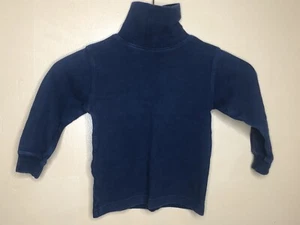 Authentic Kids Boys Size 4T Sweater Turtleneck Blue Long Sleeve - Picture 1 of 12