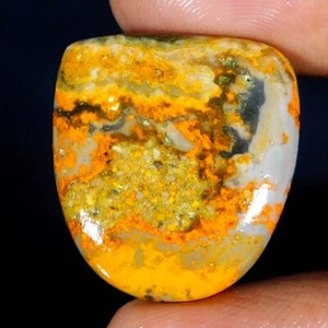 23,3 cts. Diaspro BOMBOLE BEE 100% NATURALE eclissi fantasia cabochon pietra preziosa sciolta - Foto 1 di 3
