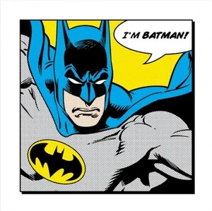 BATMAN KUNSTPOSTER ~ I'M BATMAN! 16x16 DC Comicbuch - Bild 1 von 1