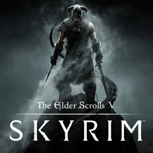 PS4 PS5 THE ELDER SCROLLS 5 SKYRIM EDICIÓN ESPECIAL - Max Stats/Max Skills/Dinero - Imagen 1 de 1