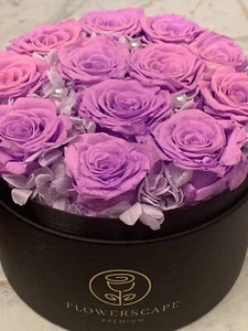 12 Forever Flowers Roses in box Real Rose Bouquet Pink Purple Love Romantic Gift - Picture 1 of 10