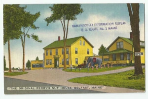 Perry's Nut House Belfast Maine Postcard Damariscotta Information Bureau Vintage - Picture 1 of 2