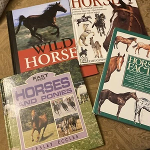 Lot of 4  Horse Lover Books  for Youth - Picture 1 of 5