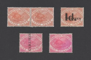 TASMANIA STAMPS 1880-1900 QV PLATYPUS MINT w 1d on 1/-, 1/-, 1/- SPECIMEN A1A9 - Picture 1 of 13