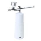 Face Cleaner Skincare Home Spa Face Steamer High-Pressure Oxygen Injector