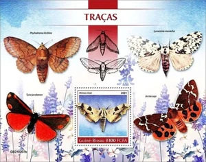 MOTHS & BUTTERFLIES Insects MNH 1v-Stamp Sheet #668 (2021 Guinea-Bissau) - Picture 1 of 1