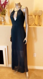 NWT BCBG PLEATED KEYHOLE CHIFFON MAXI DRESS SZ XS - Picture 1 of 12