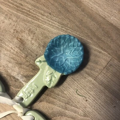 Cucharas medidoras florales belleza atemporal mujer pionera cucharadita de gres solamente Foto 1 de 3