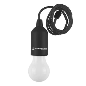 Pull Cord Light- Portable LED Outdoor/Indoor Hanging Bulb Lantern for Camping... - Picture 1 of 6