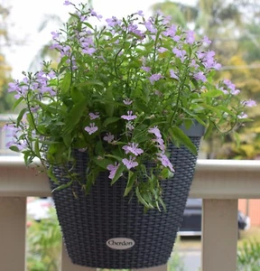 Planter - Railing Balcony Deck - Picture 1 of 17