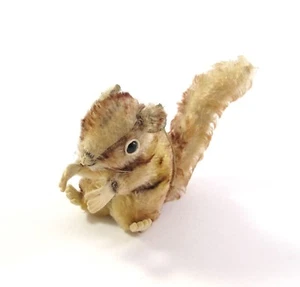 Steiff Eichhörnchen Perri 12 cm Knopf - Picture 1 of 3