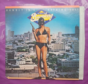 David Bromberg Banditina Bathing Suit Vinyl LP 1978 - Picture 1 of 8