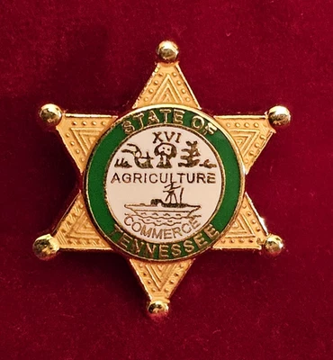 Vintage State Of Tennessee "Sheriff's Star" Esteemed Public Service Pin RARE! - Image 1 of 4