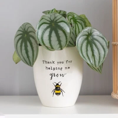Thank You For Helping Me Grow Ceramic Plant Pot - Great Teacher or Parent Gift - Image 1 of 3