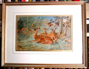 Original 1863 Rosa Bonheur (French 1822-99) Painting of Deer, Framed Watercolour - Picture 1 of 5