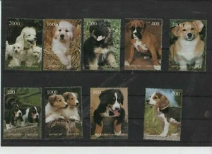 Hunde Satz sehr hübsch - Picture 1 of 1