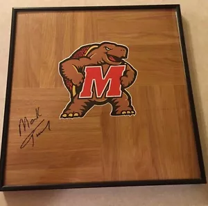 MARYLAND TERRAPINS MARK TURGEON Pavimento con cornice firmato 12x12 - Foto 1 di 1
