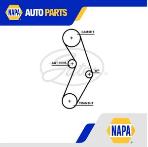 Timing Belt fits ABARTH 500 1.4 2008 on Gates 46352295 500463080 463522950 New - Picture 1 of 2