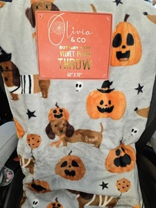 Dackel Halloween Kürbis Mumie butterweich Plüsch Überwurf Decke 60"x70" - Bild 1 von 3