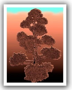ArtWall Dean Uhlinger 'Desert Vision' Unwrapped Canvas, 18x22", Holds 14x18" - Picture 1 of 1