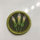 BSA Boy Scout Merit Badge Type F Corn Farming Patch Never Sewn