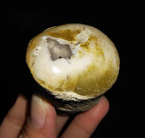RARO TRONCO DE MADERA PETRIFICADA PLUMA HQ, PULIDO SUPERIOR, JAVA, INDONESIA, 55 MM - Imagen 1 de 7