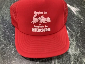 Gorra gorra vintage Intercourse Pennsylvania Trucker malla cordón Bill Snapback - Imagen 1 de 5