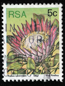 South Africa - 1977 - 5¢ - Flora - Protea Plants - Protea cynaroides - #18174 - Picture 1 of 1