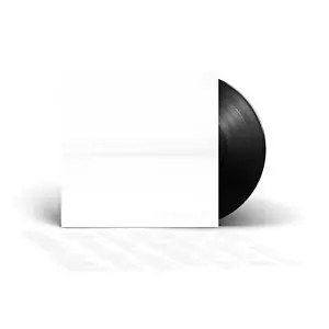 FOO FIGHTERS - BUT HERE WE ARE VINYL LP (NEW) - Picture 1 of 2