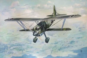 Roden 454 Arado Ar 68F-1 1:48 scale model kit - Picture 1 of 12