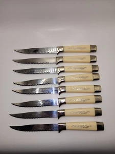 Vintage 8 MCM REGENT Sheffield England Elfenbein geprägt Wüstenblume Steakmesser - Bild 1 von 11