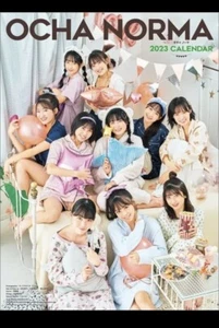 Ocha Norma 2023 Giant Wall Calendar Japan CL23-0808 Size A2 13 Pages Hagoromo - Picture 1 of 5
