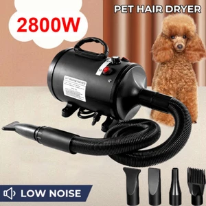 Professional Pet Hair Dryer 2800W Dog Cat Grooming Blower Blaster Brand New - Picture 1 of 19