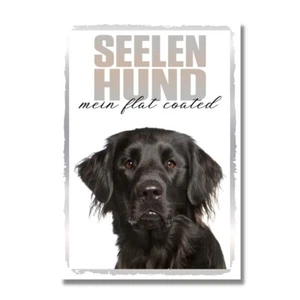 Flat Coated Retriever Seelenhund Dog Schild Spruch Türschild Hundeschild Warnsch - Bild 1 von 4