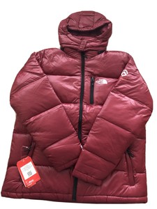 the north face summit series 800