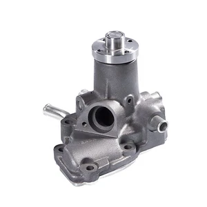 Bomba de agua para Hürlimann XA-60 XA-70 XA-80 XA-85 XA-90 XA-100 a XV-100 - Imagen 1 de 2
