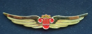 ALA METÁLICA DE AEROLÍNEA CIVIL 6 - Imagen 1 de 2