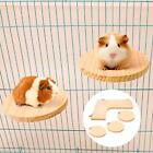 4Pcs Hamster Cage Corner Platform Wooden Activity Springboard for Chinchilla Rat