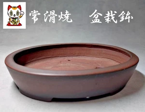 Macetas bonsai japonesas genuinas Tokoname ware (Bigei) macetas bellamente terminadas - Imagen 1 de 18