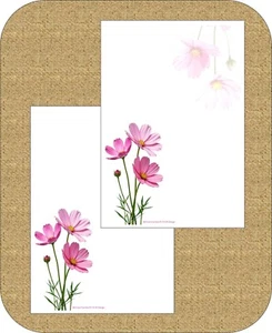 "Zarte Kosmos Blume" - A5 Buchstaben Schreibpapier / 100 g/m² Premium Weiß - Bild 1 von 7