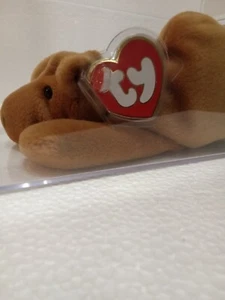 Ty Humphrey "CANADIAN" Beanie Baby. Extremely Rare. Authenticated MWMT-MQ. - Picture 1 of 4