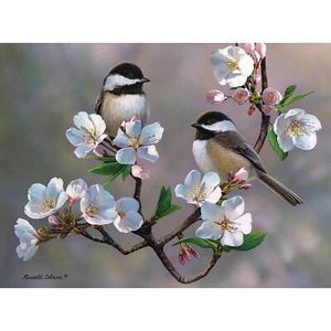 Pezzi e Pezzi - Puzzle 300 Pezzi Grandi per Adulti - Fiori di Ciliegio C... - Foto 1 di 6