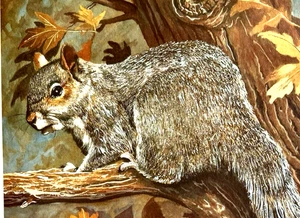ARDILLA GRIS FIRMADA Bosque Arte Popular Impresión Dick Englan LE 127/450 Núcleo de Casa - Imagen 1 de 15
