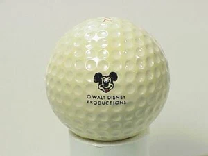 Walt Disney World - 1 - Picture 1 of 1
