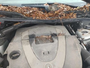 07 08 09 10 11 MERCEDES ML SERIES Air Cleaner 164 Type Ml350 Gasoline3.5l - Picture 1 of 1