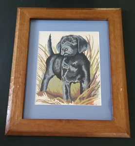Paint by Numbers Black Labrador Puppy Framed/Behind Glass 17.75" Tall - Picture 1 of 10